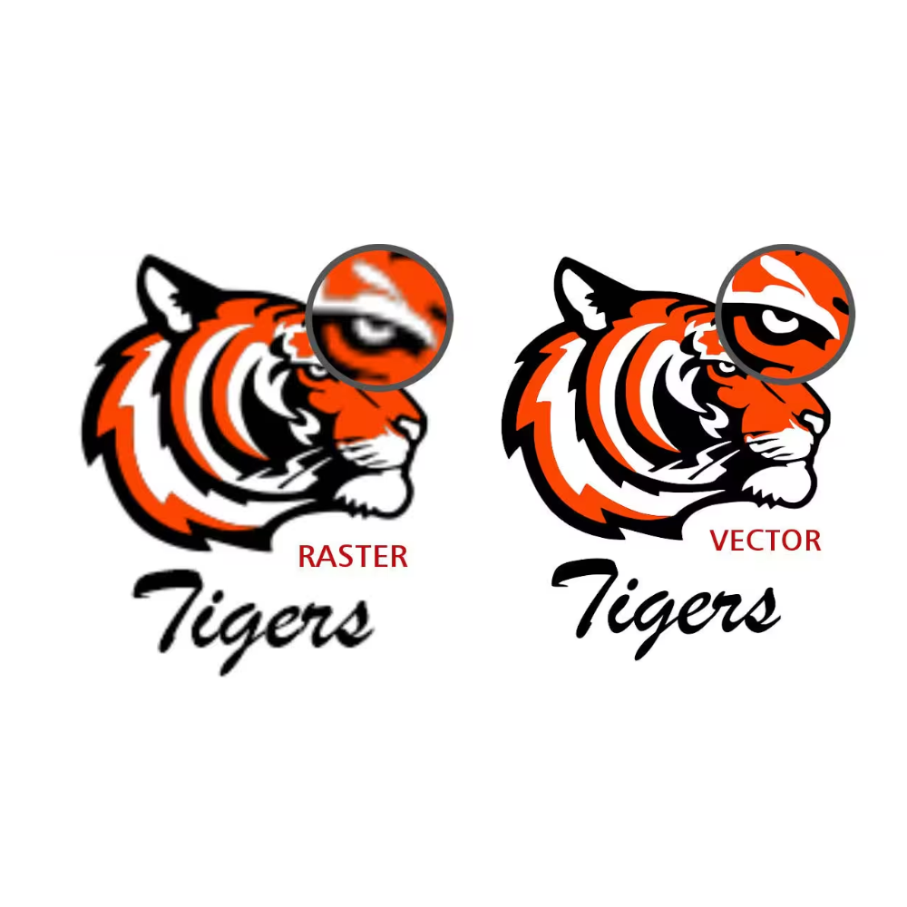 Raster to Vector Conversion