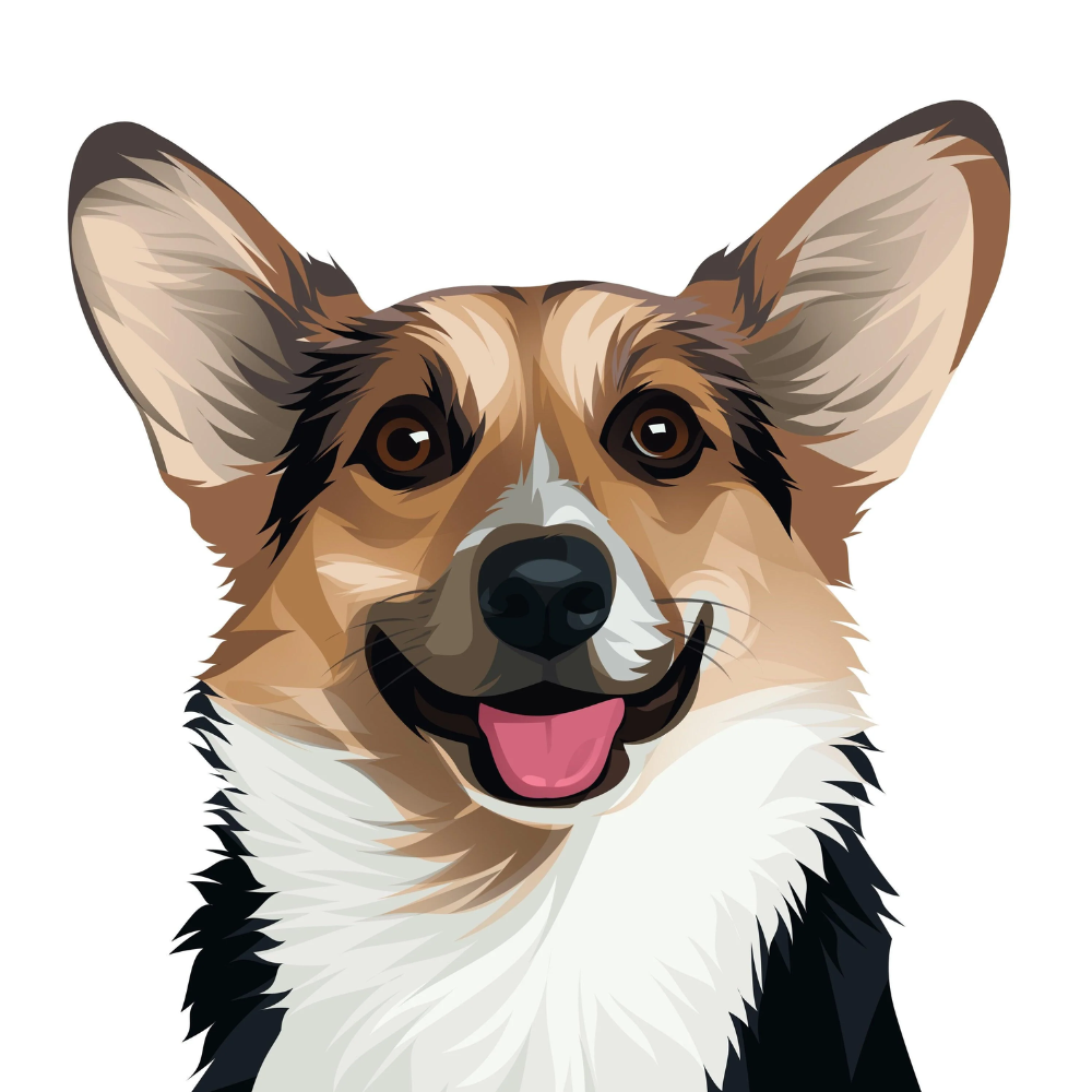 Vector Art Services