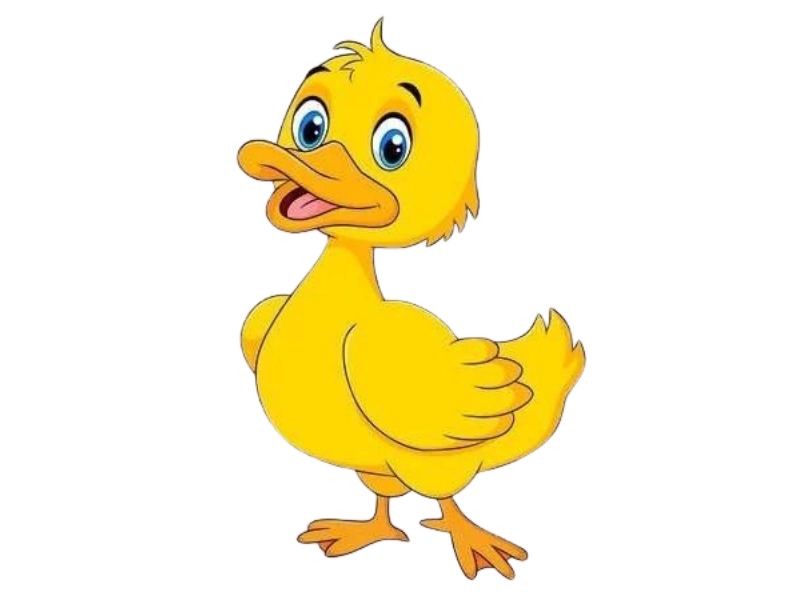 USA applique logo hoodie USA applique logo hoodie