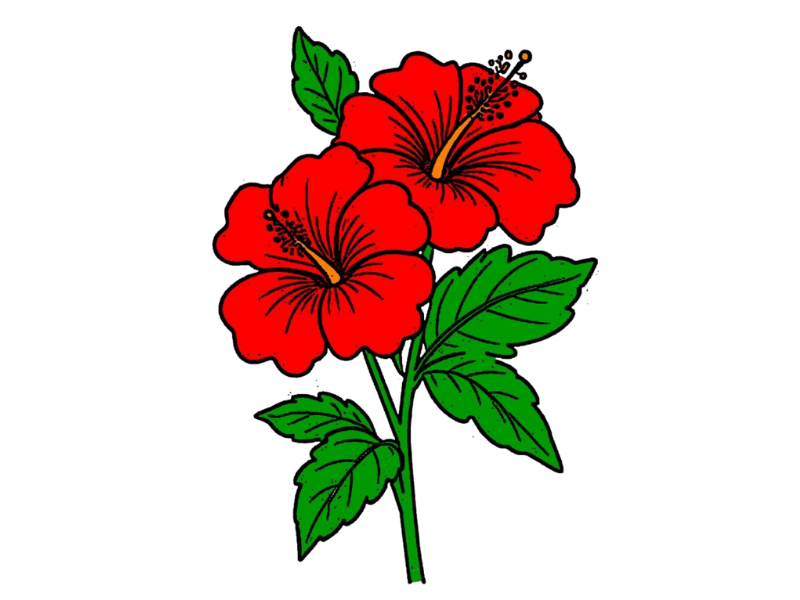 applique logo cap USA applique logo cap USA