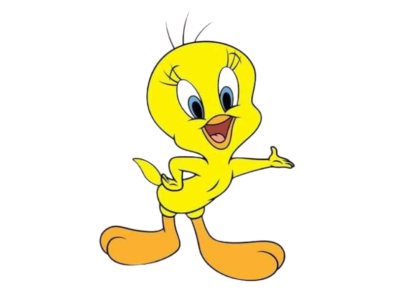 logo applique USA logo applique USA