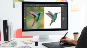 Are Vector Software Mainly Used for Tracing A Detailed Exploration